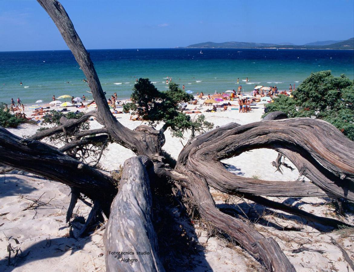 B&B Lamarina Alghero Bagian luar foto